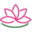 tampanchasalud.com favicon